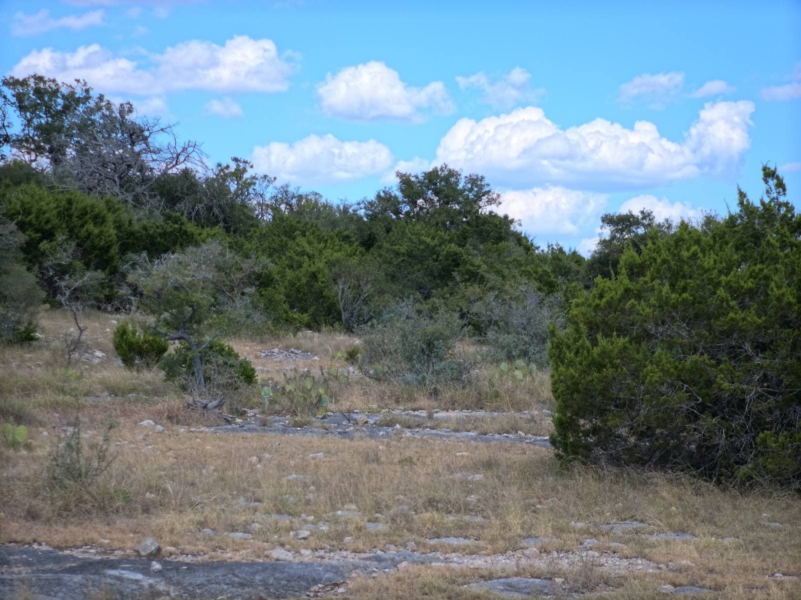 Lot 25