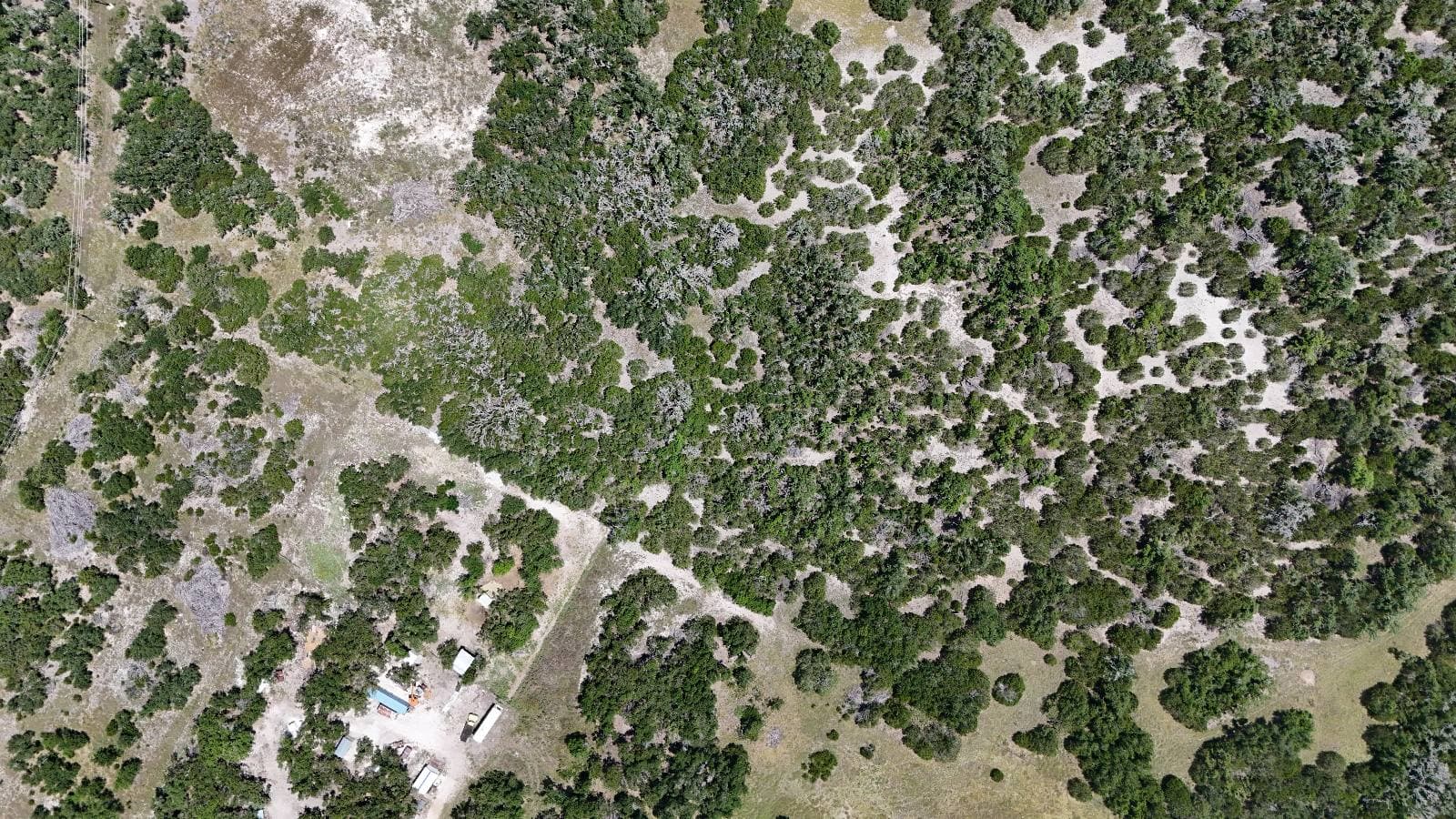 Lot 19