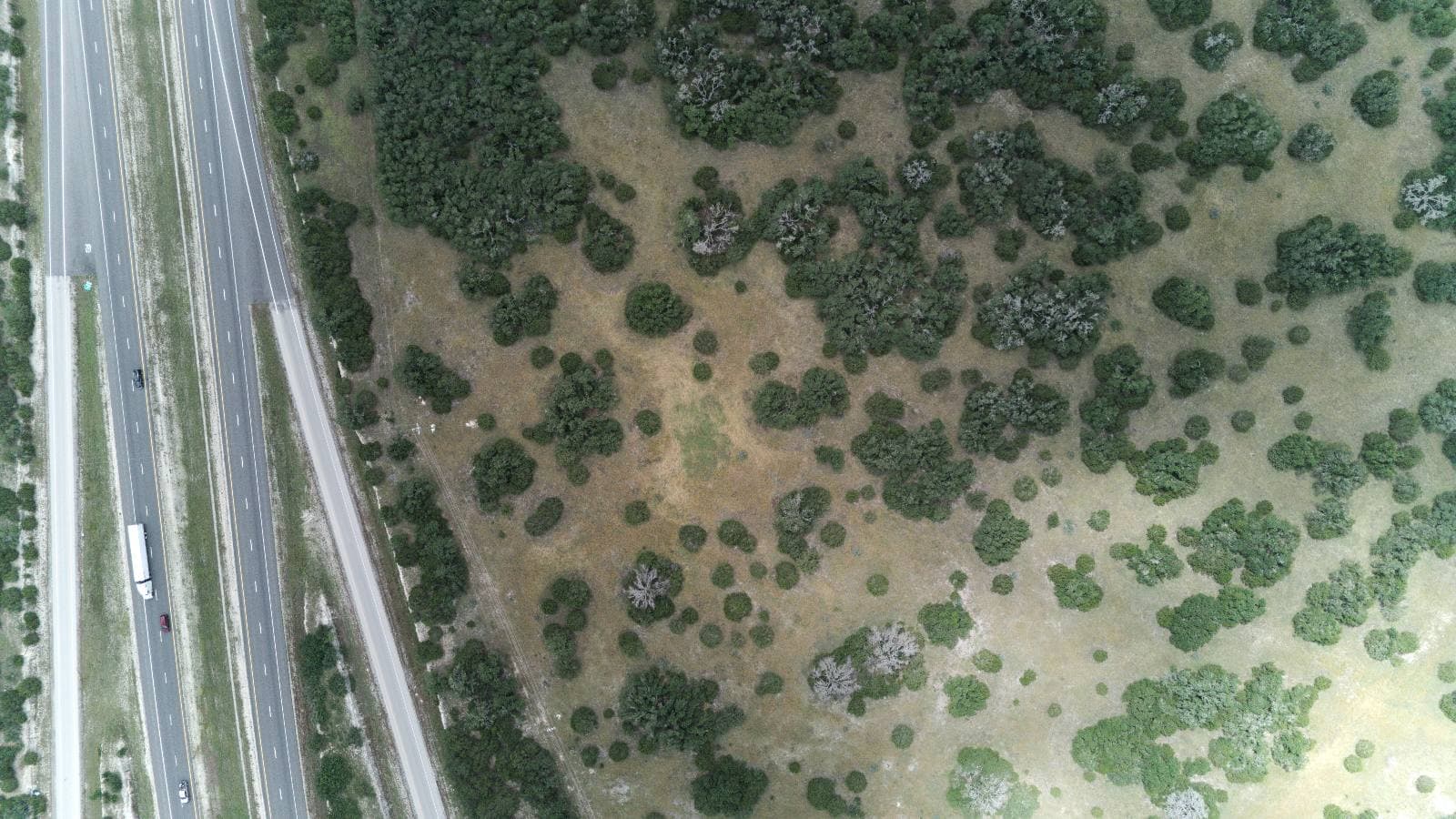 Lot 6