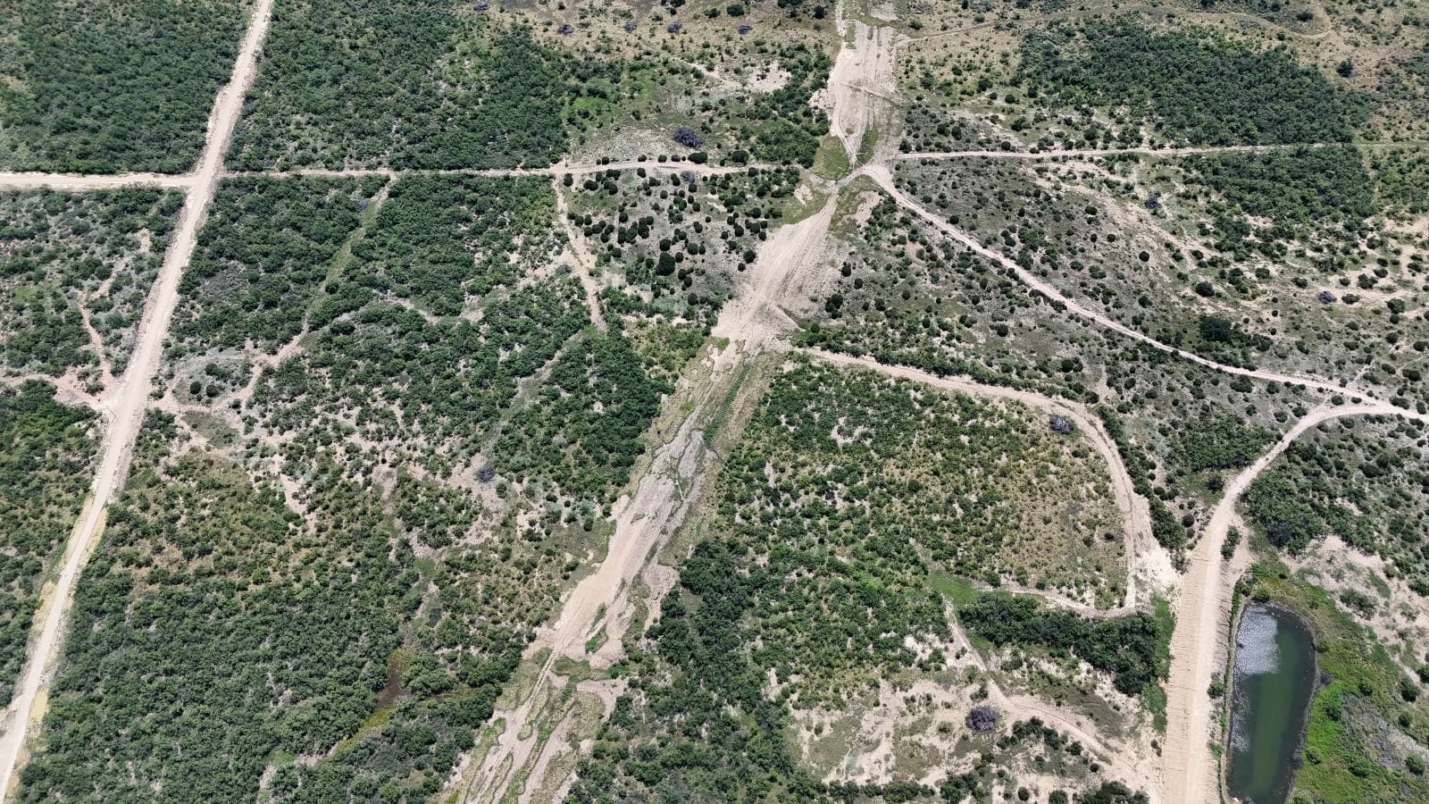 Lot 49