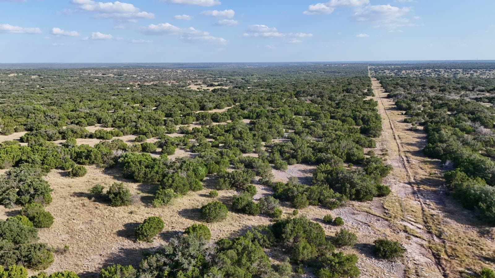 Lot 63