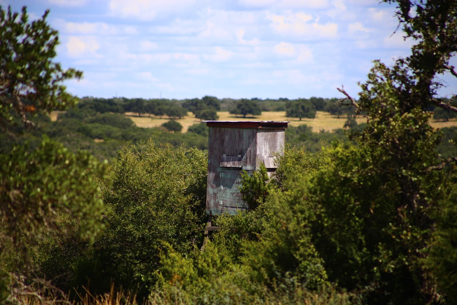 Lot 5-B at X-E Ranch