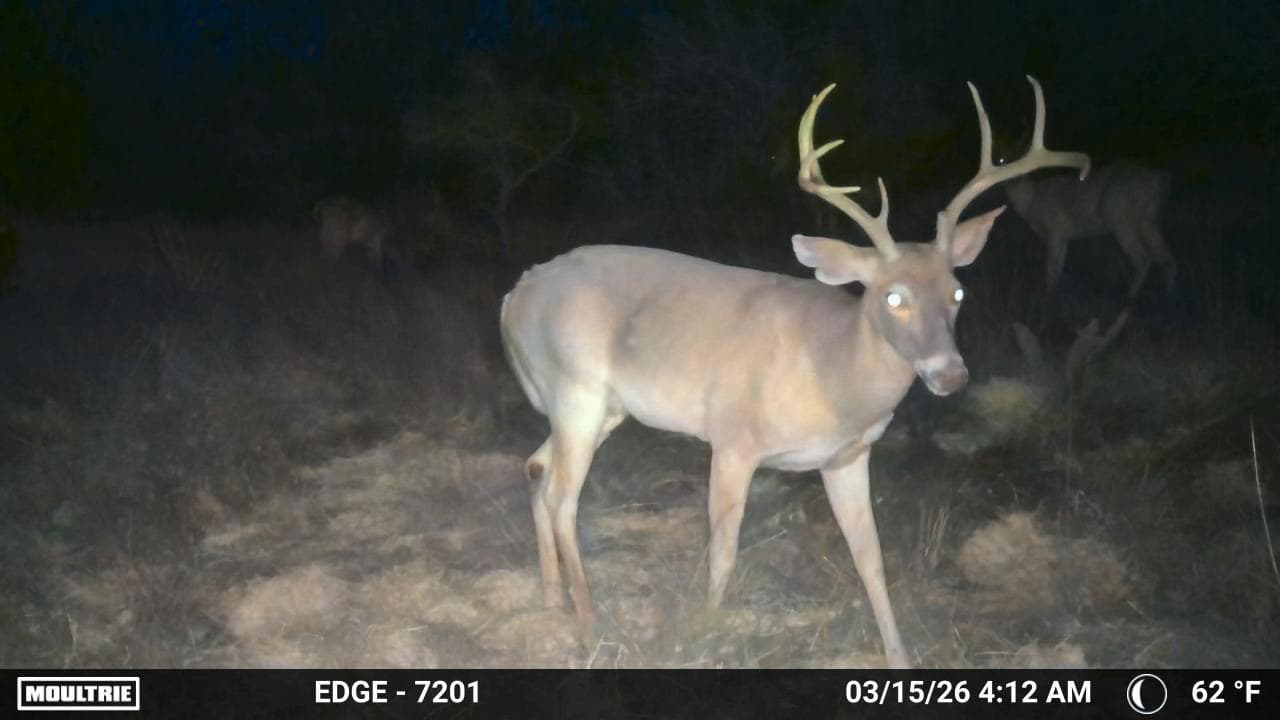 Lot 93 at Alamo Ranch