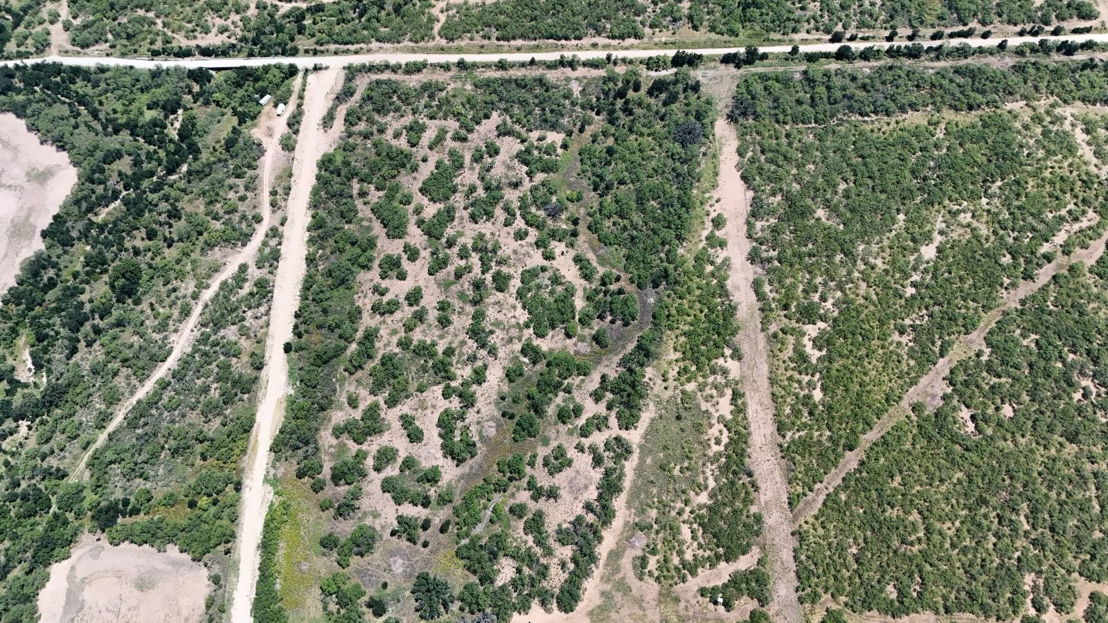 Lot 20