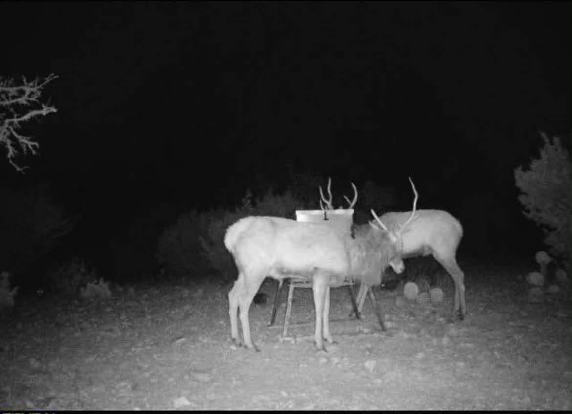 Lot 27 at Alamo Ranch
