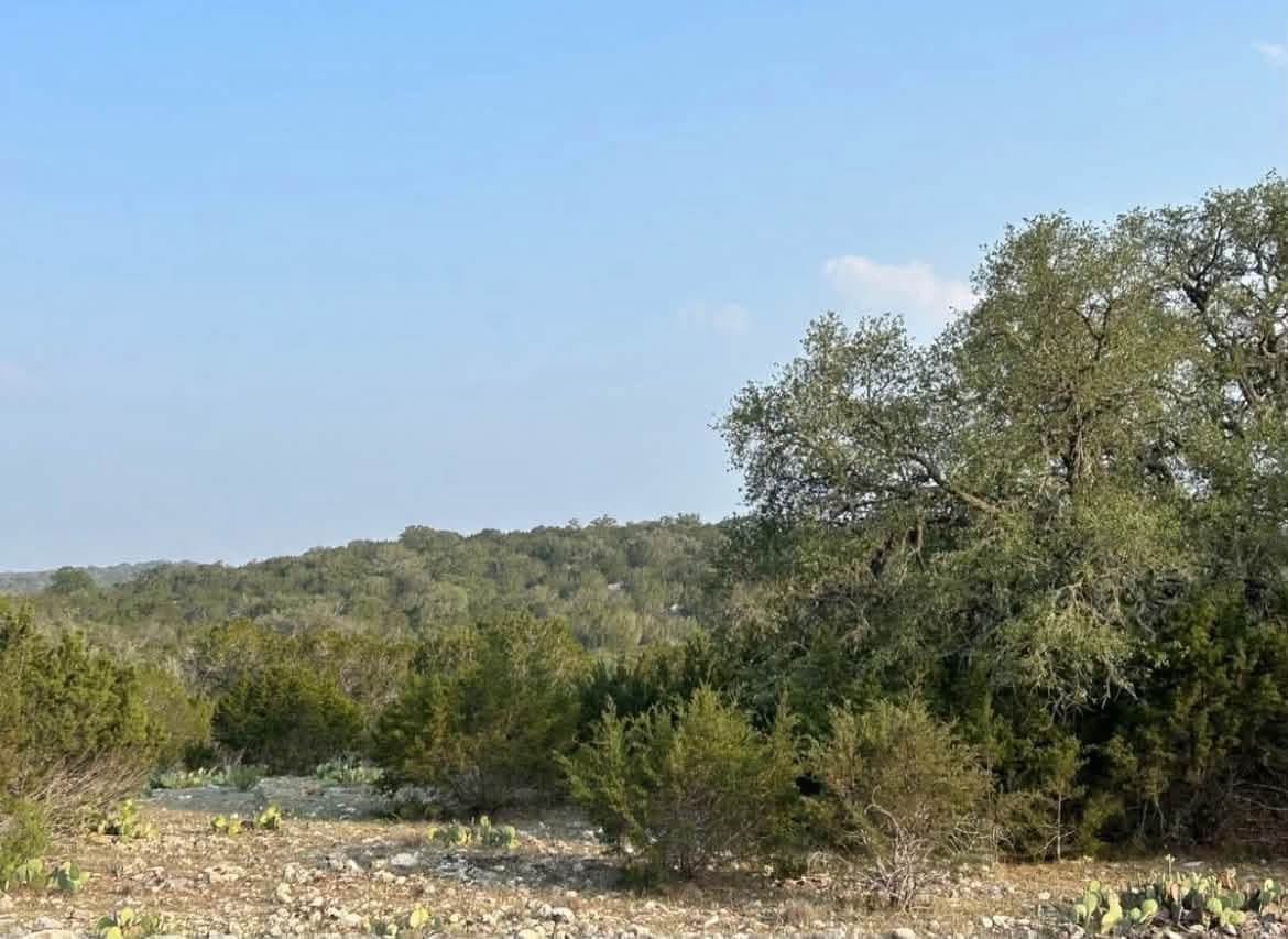 Lot 27