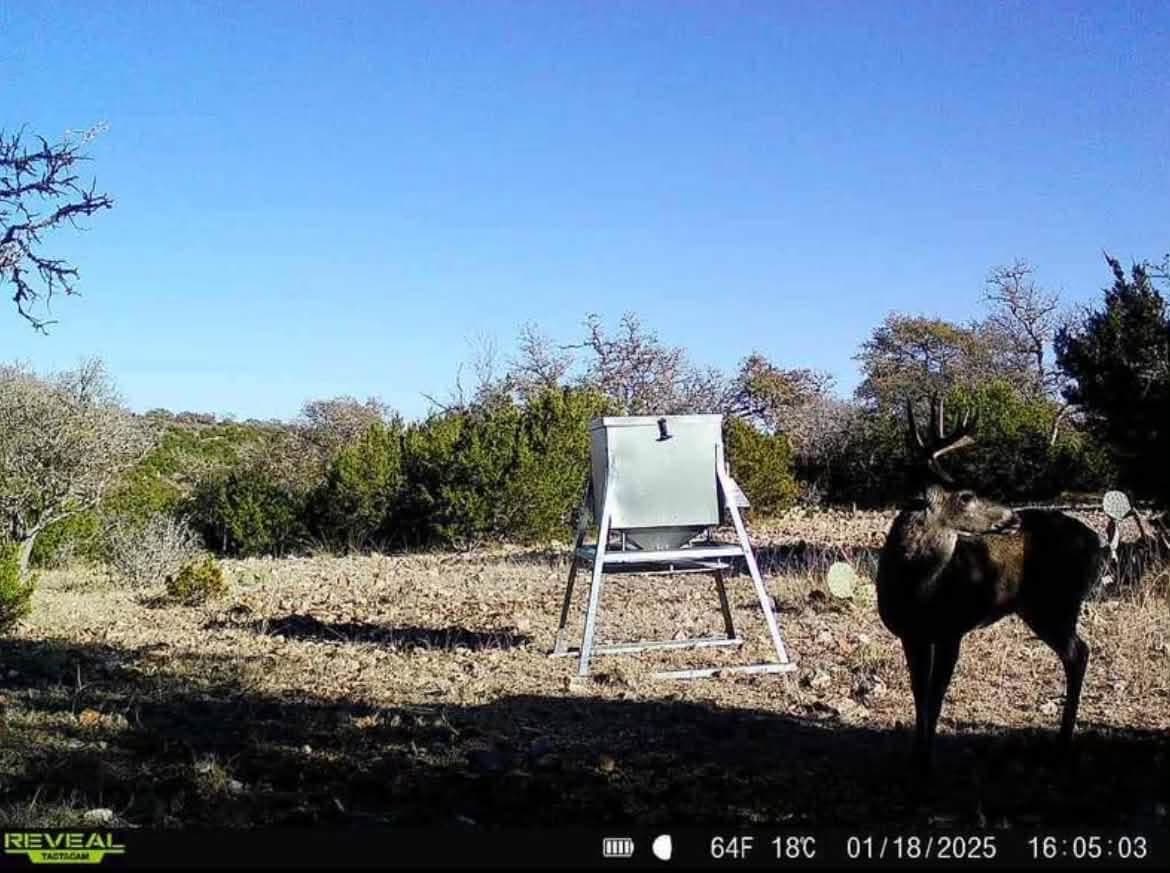 Lot 27 at Alamo Ranch