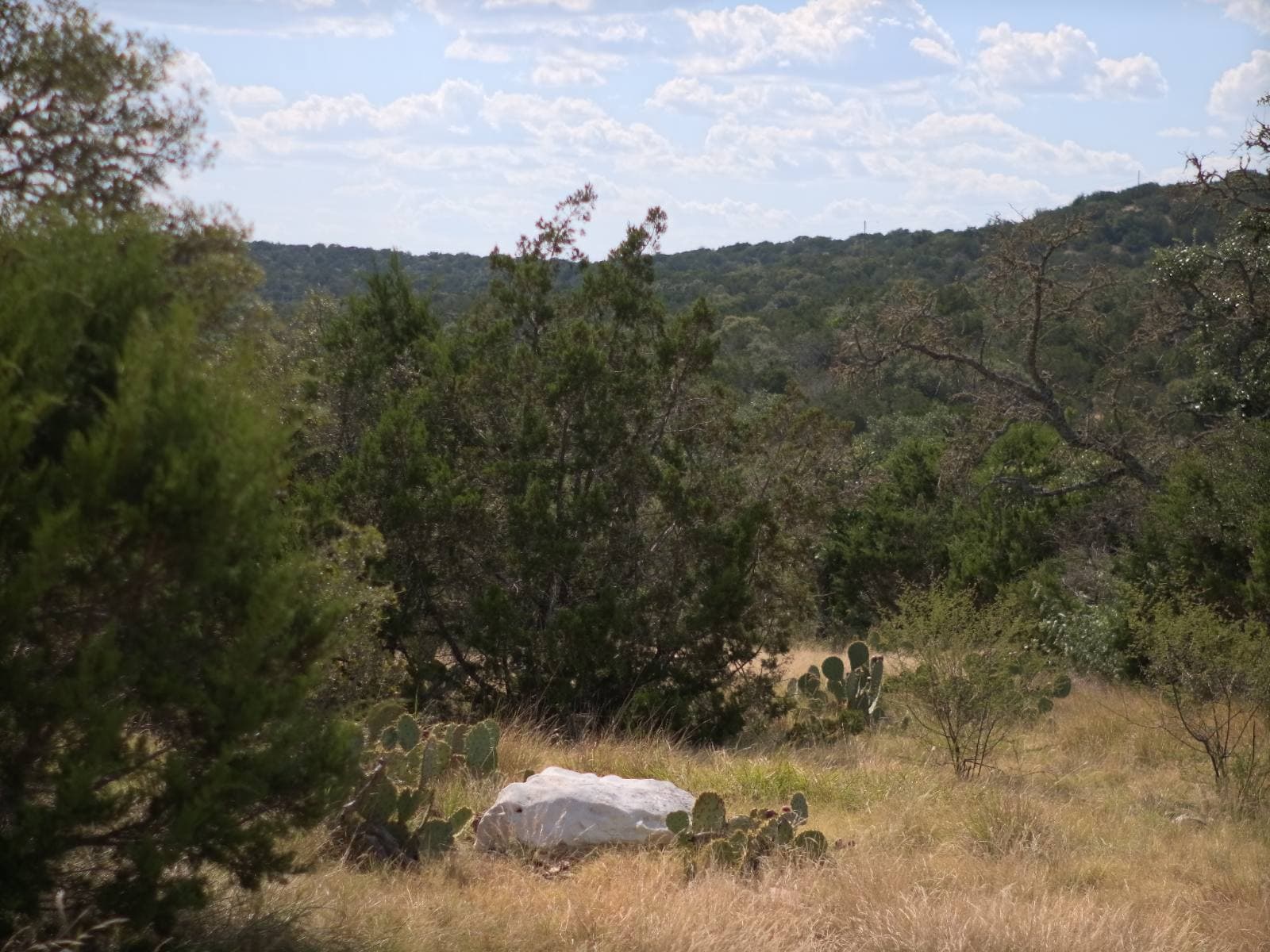 Lot 24