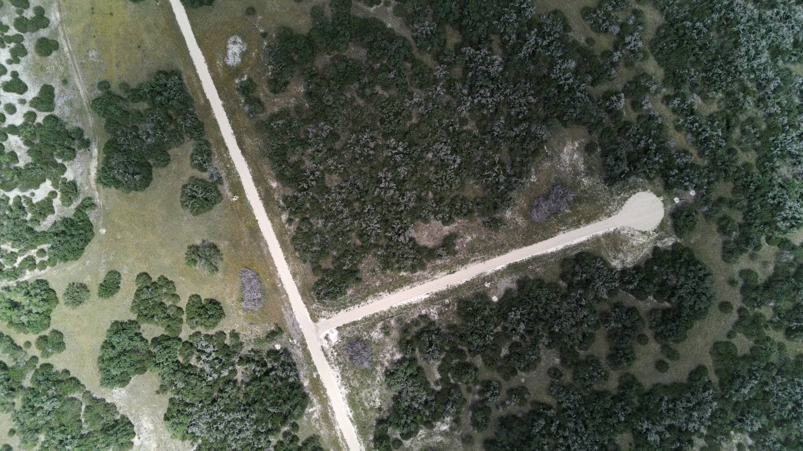 Lot 9