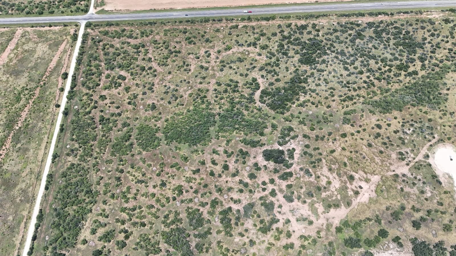 Lot 1