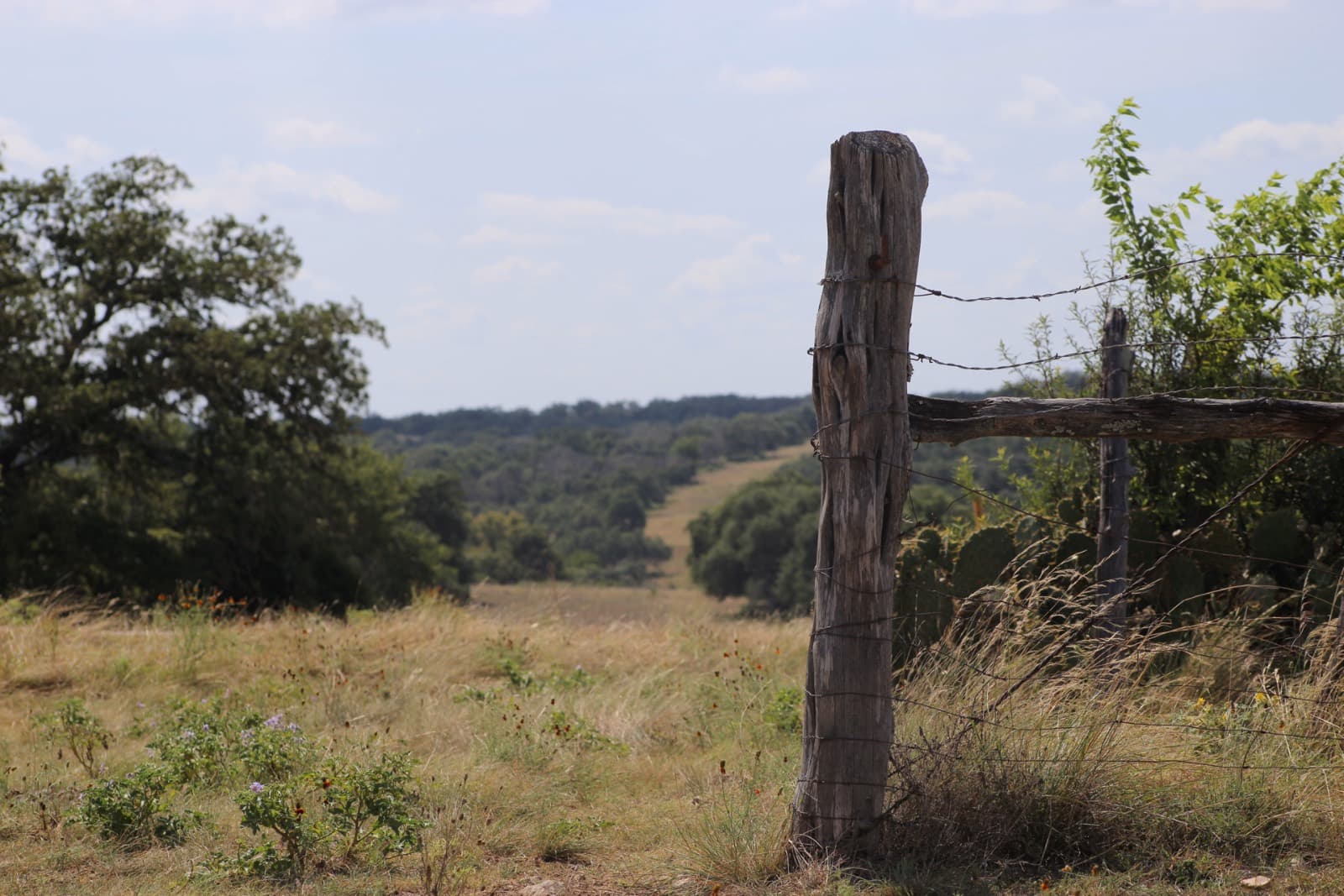 Lot 6 at Walnut Creek Ranch
