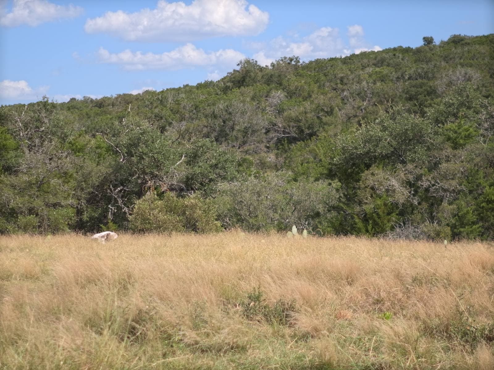 Lot 23