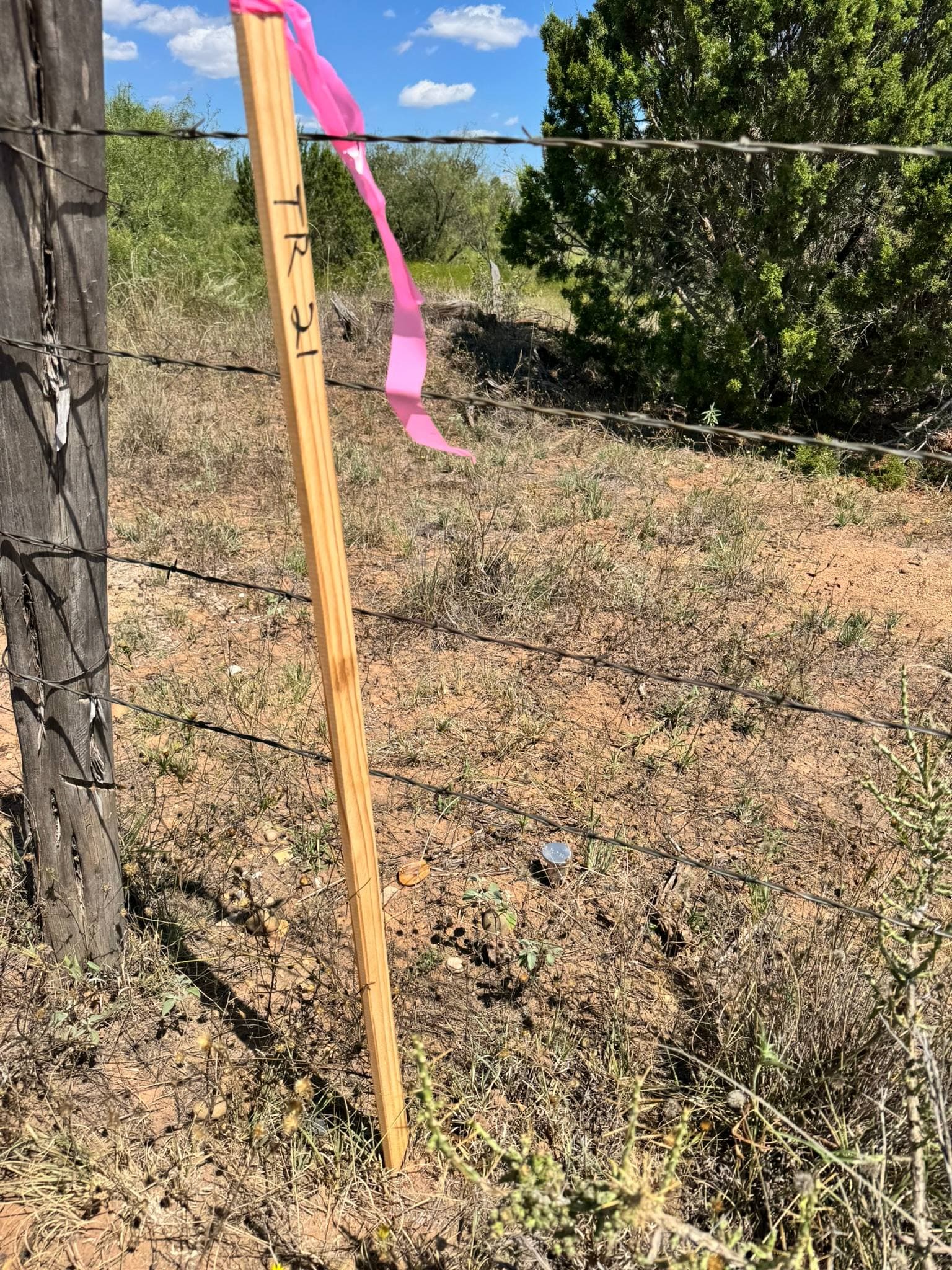 Lot 20