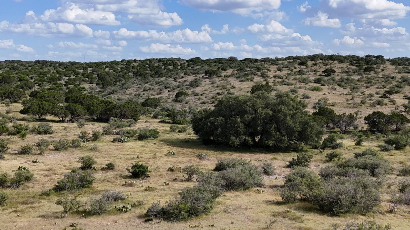 Lot 7 at Alamo Ranch