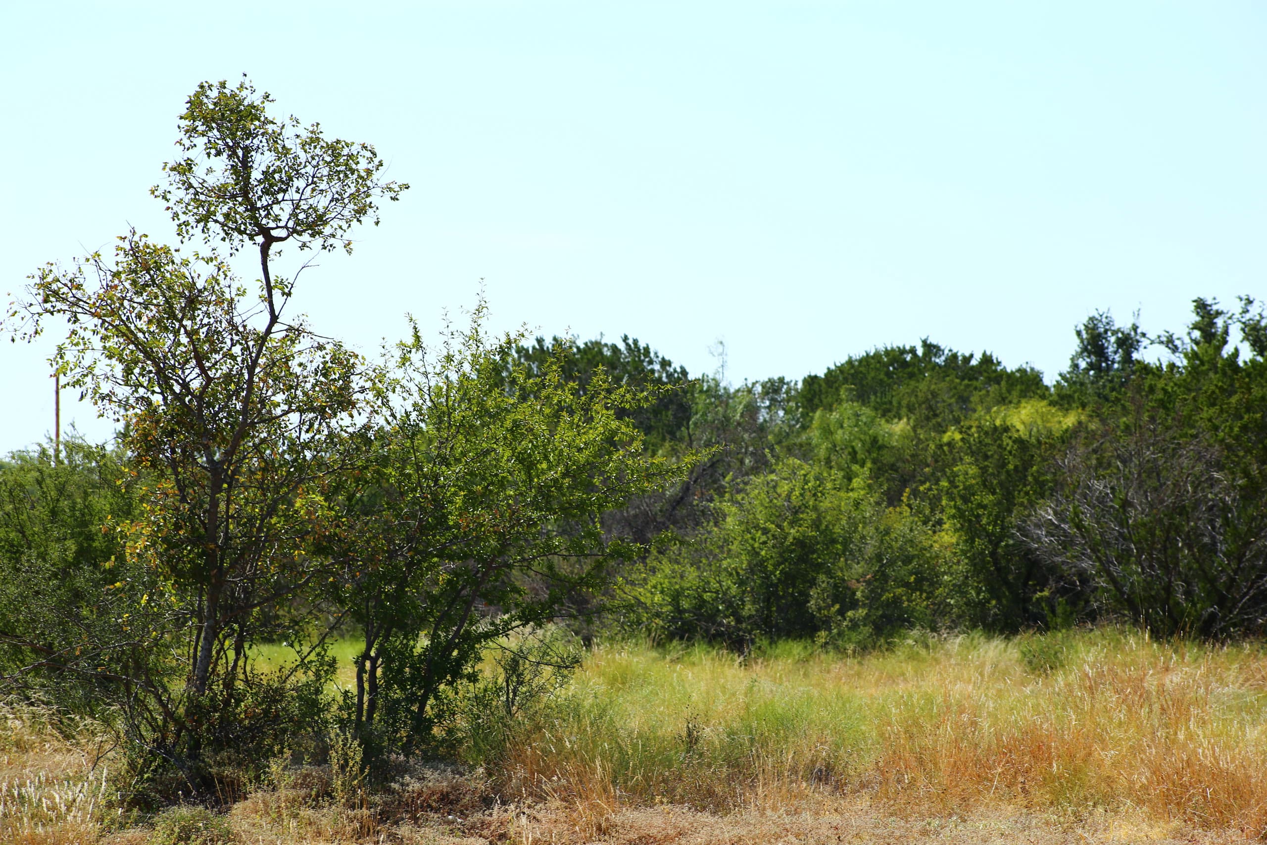 Lot 74