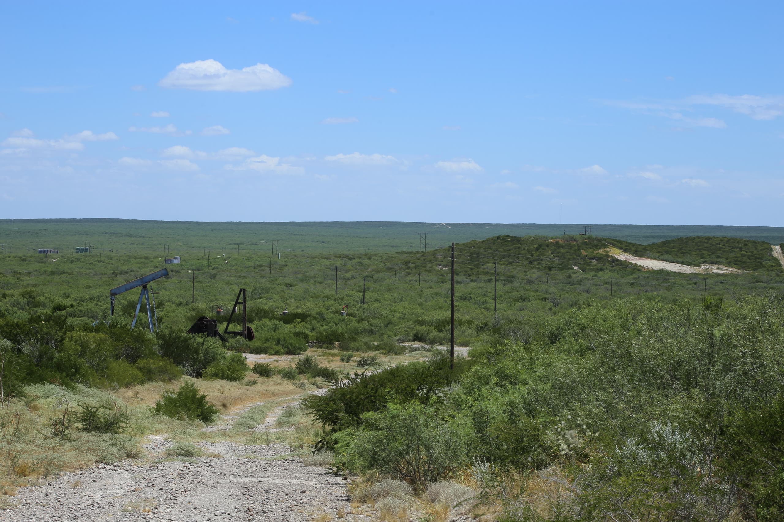 Lot 230