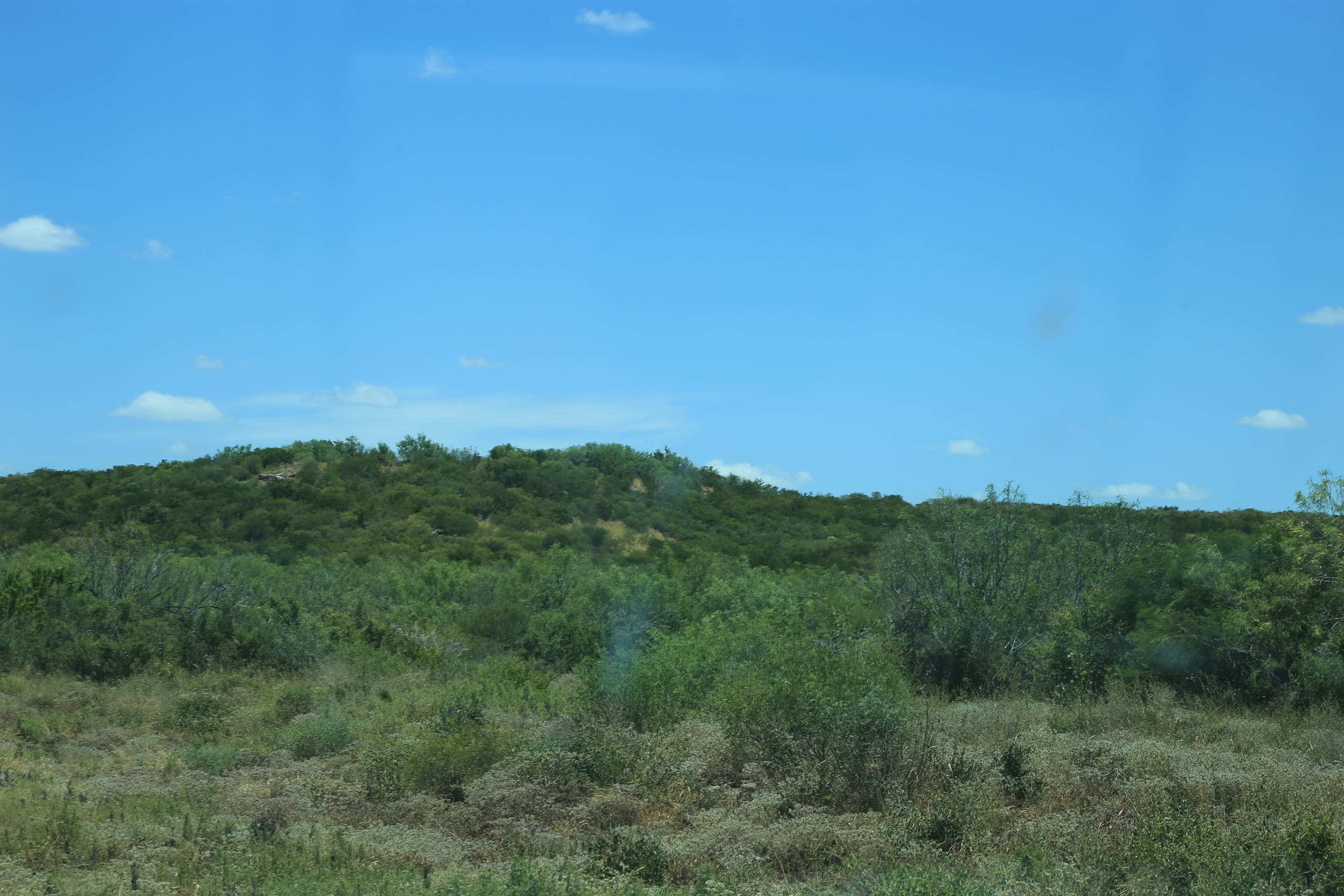 Lot 236