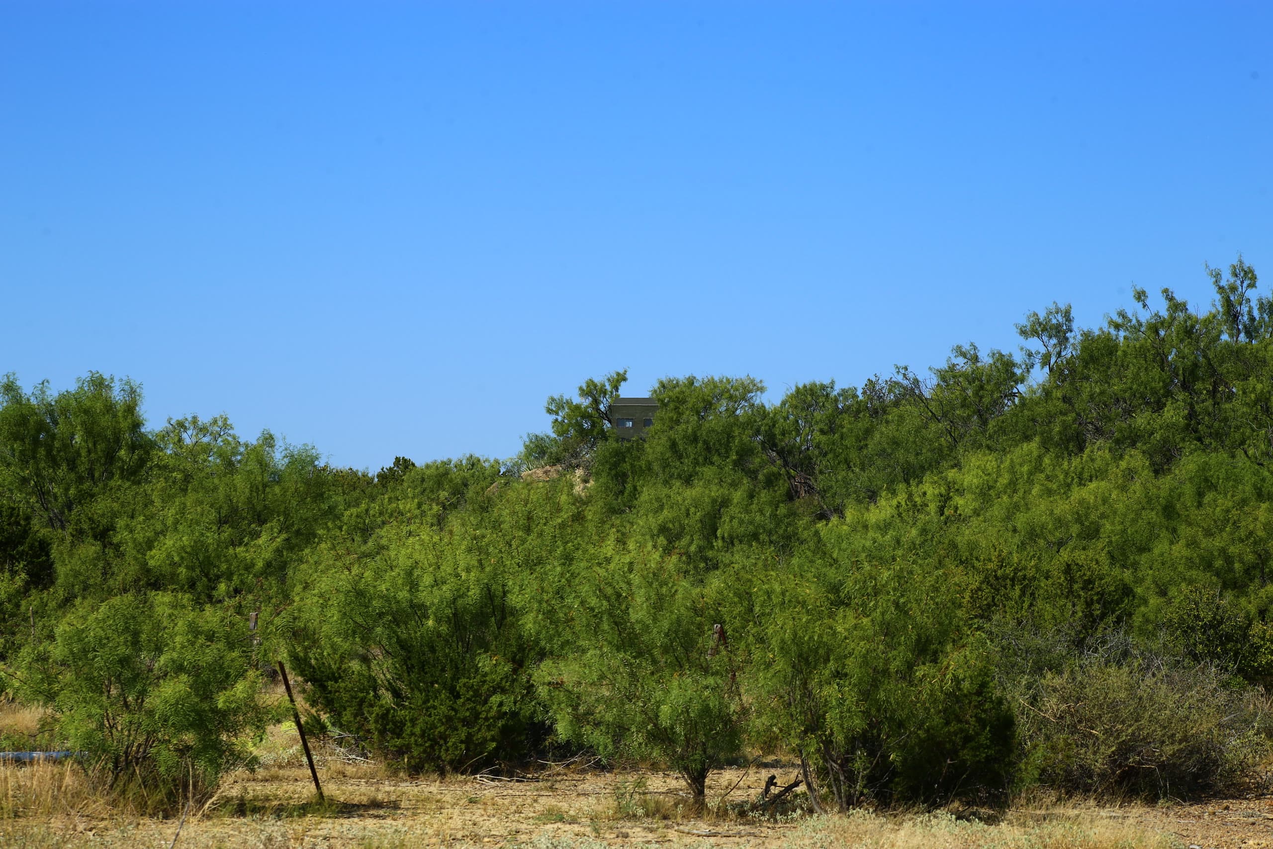 Lot 65