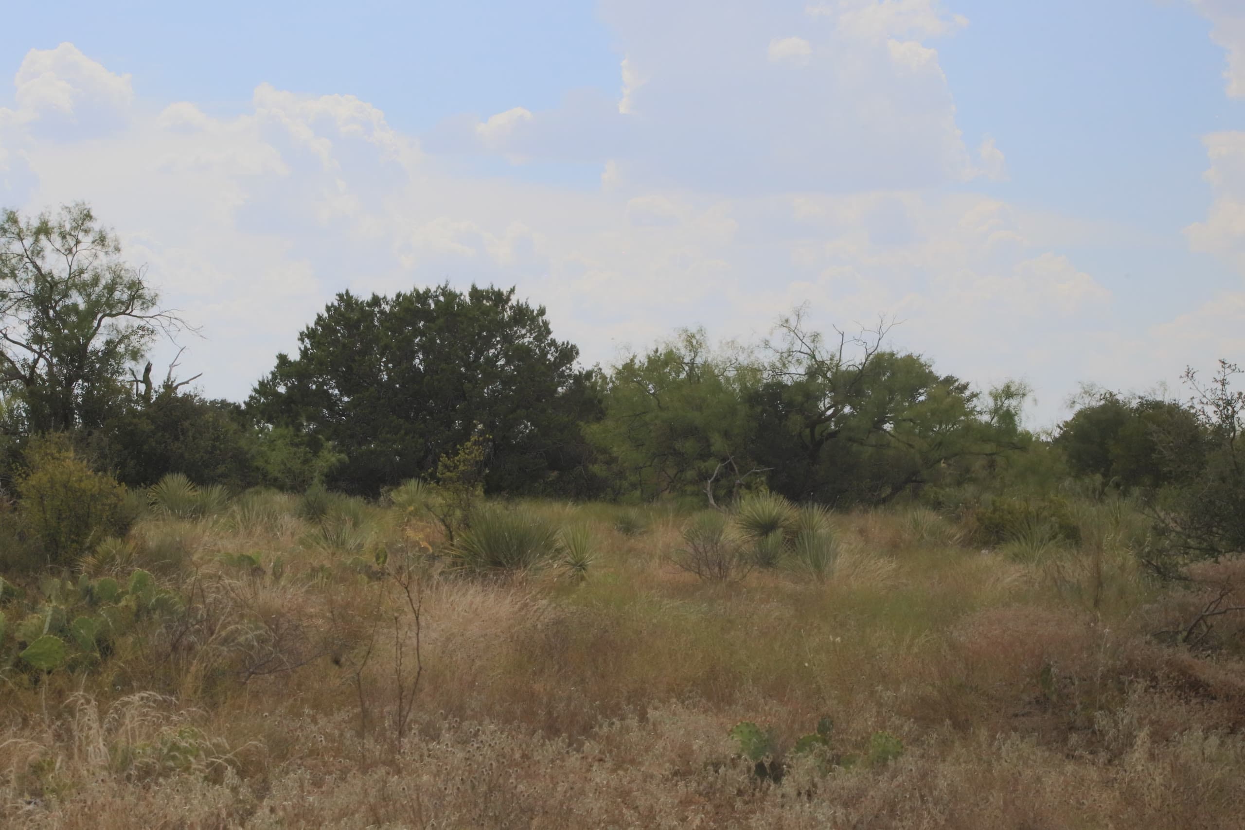 Lot 30