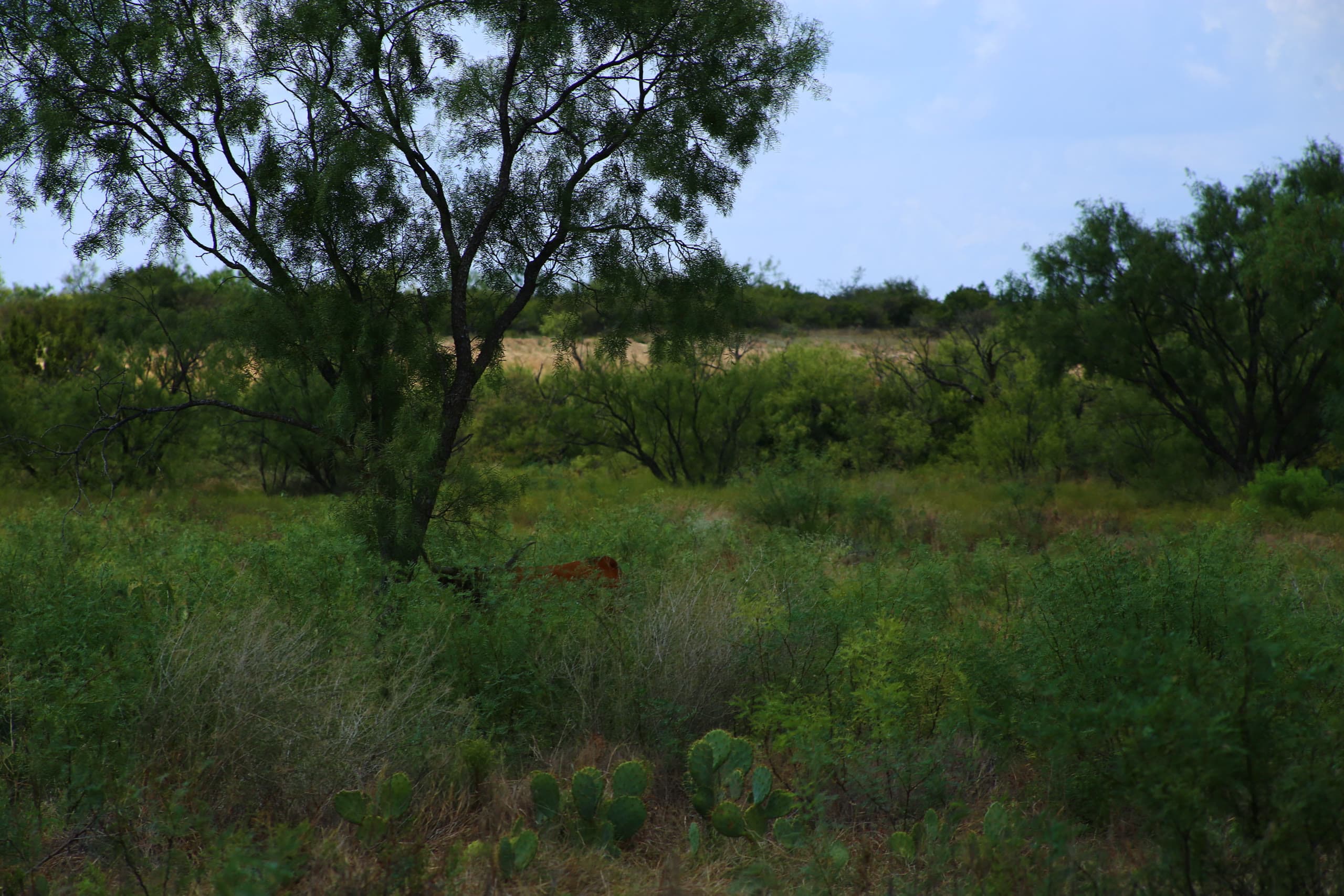 Lot 23