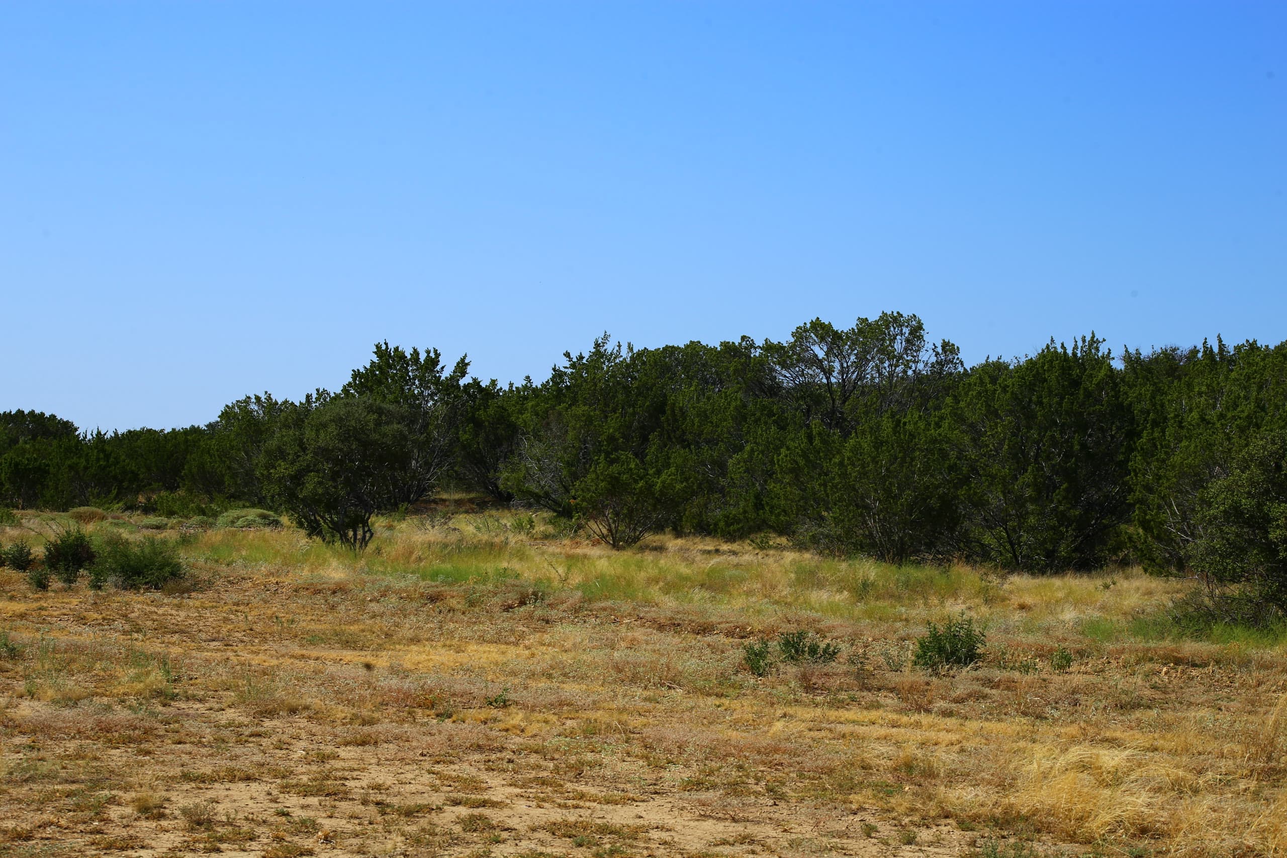 Lot 75