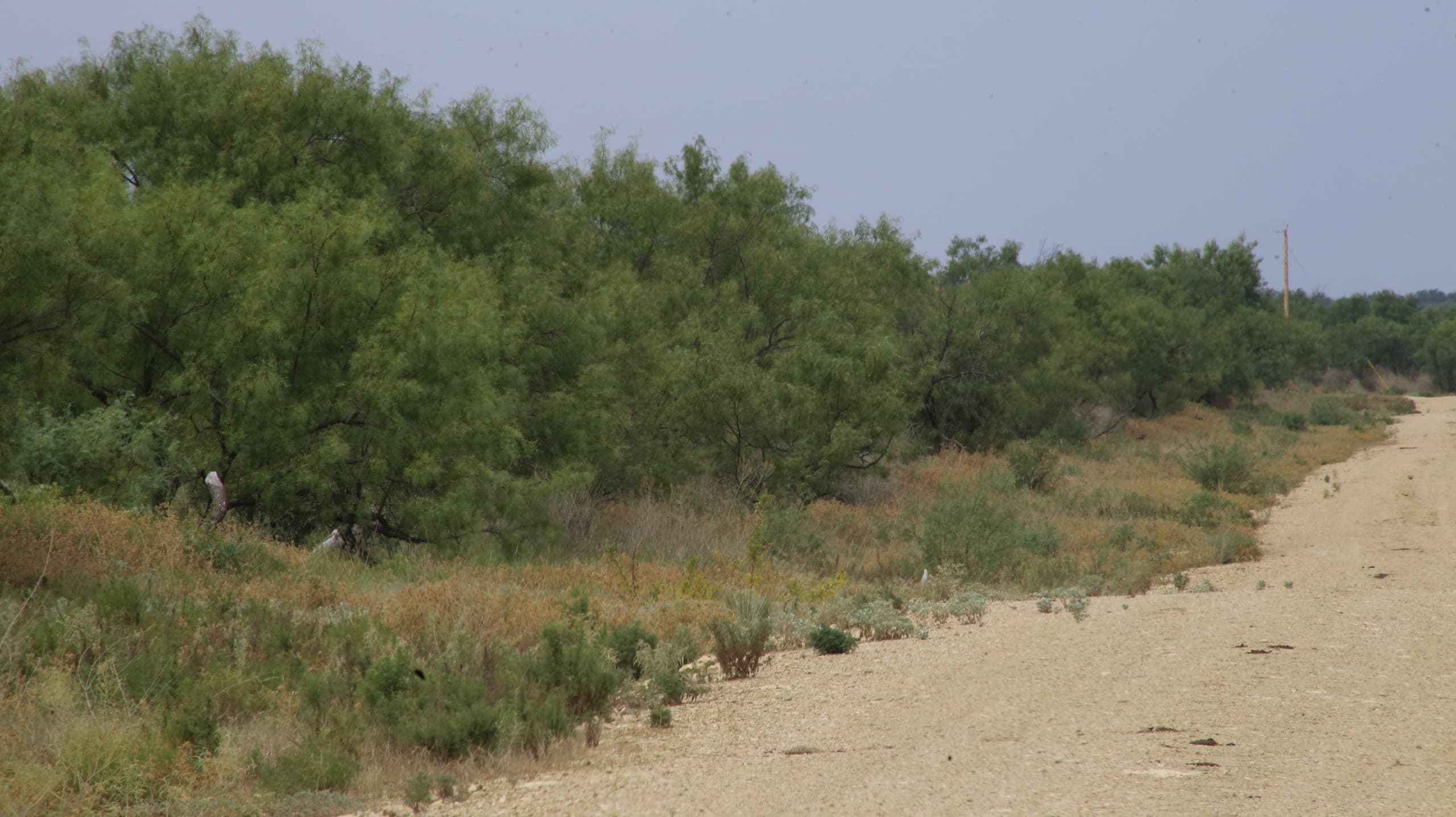 Lot 52