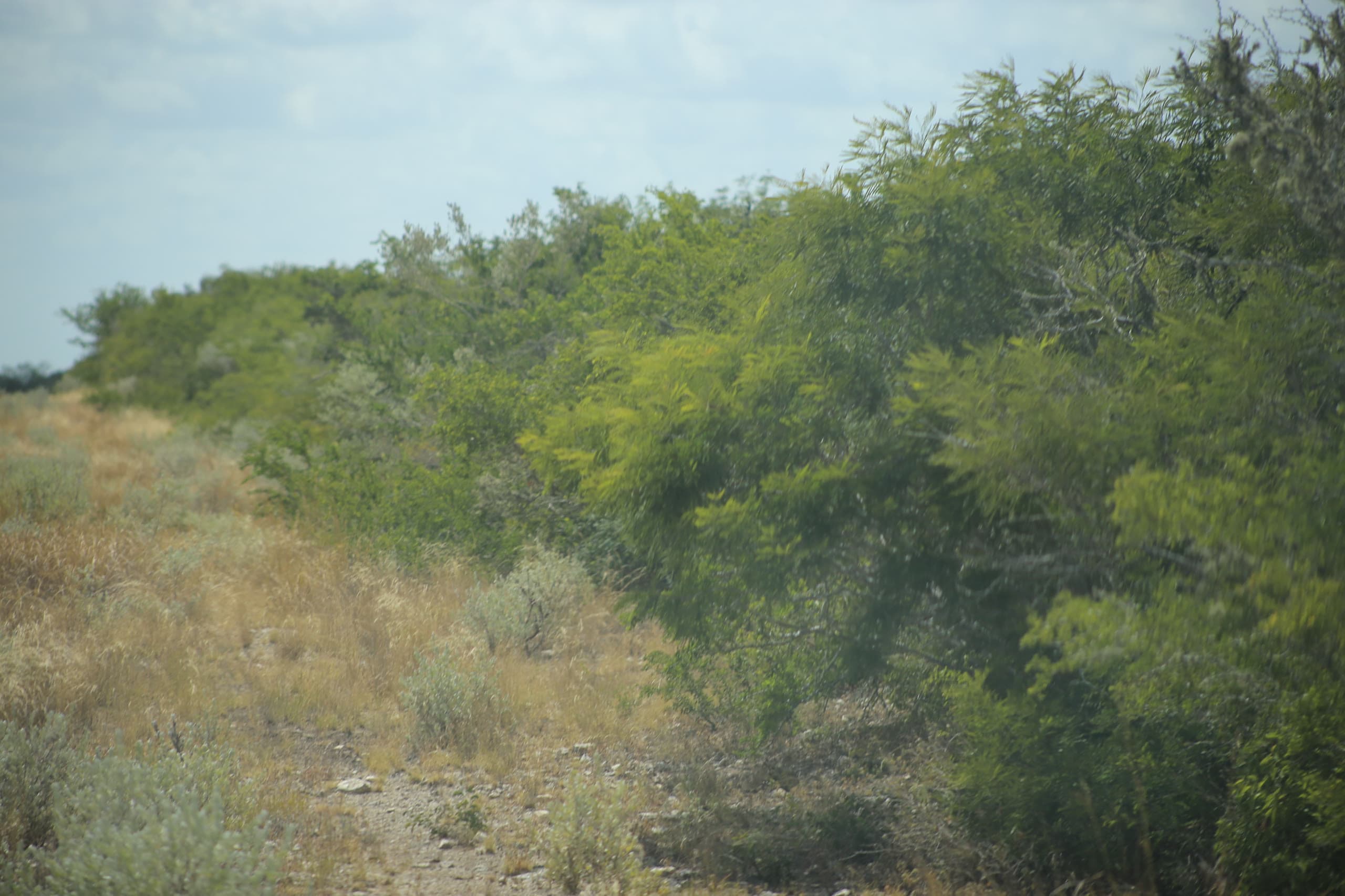 Lot 26