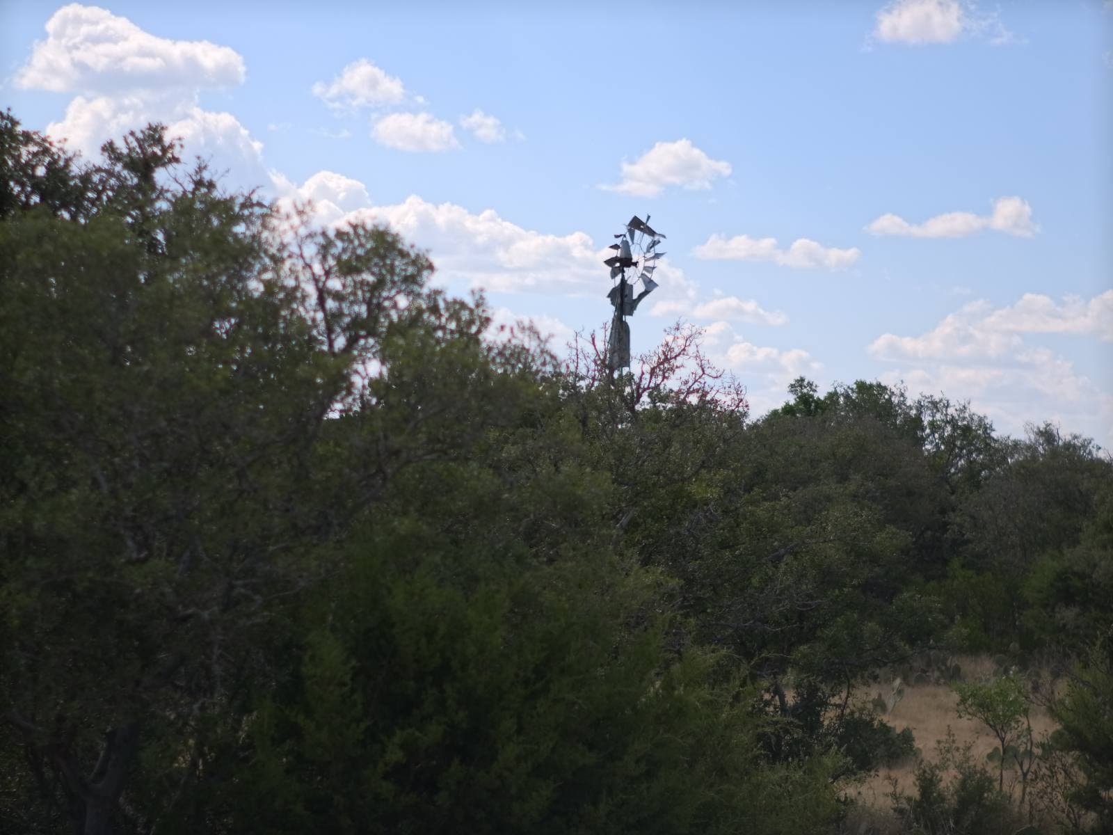 Lot 21
