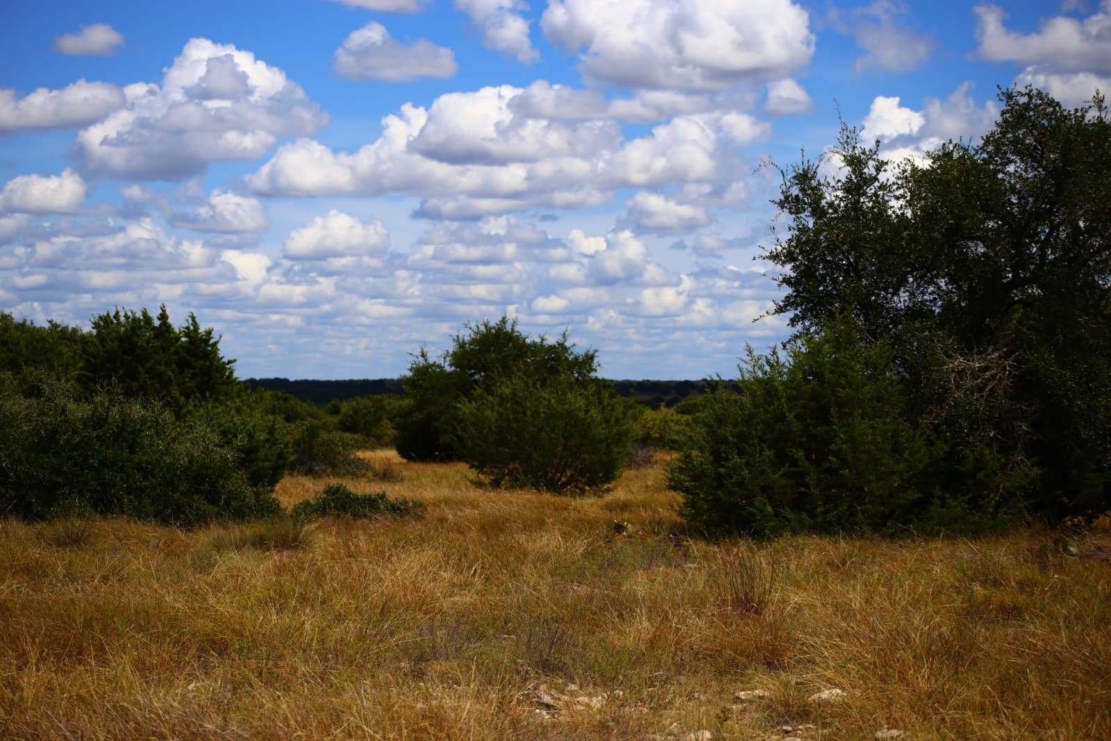 Lot 5-C