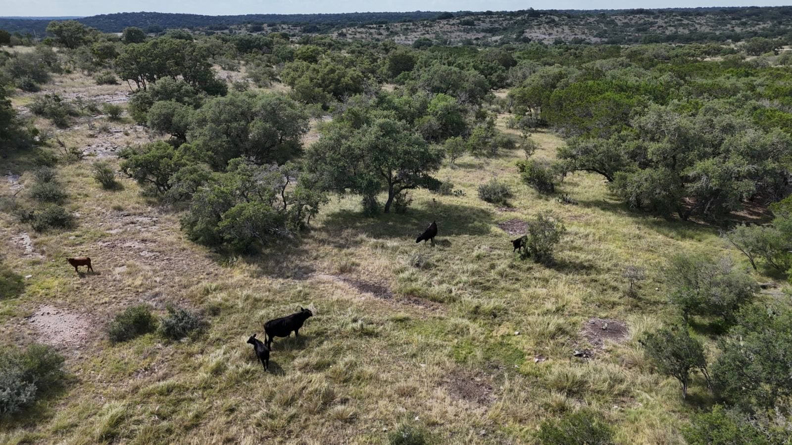 Lot 9 at Alamo Ranch