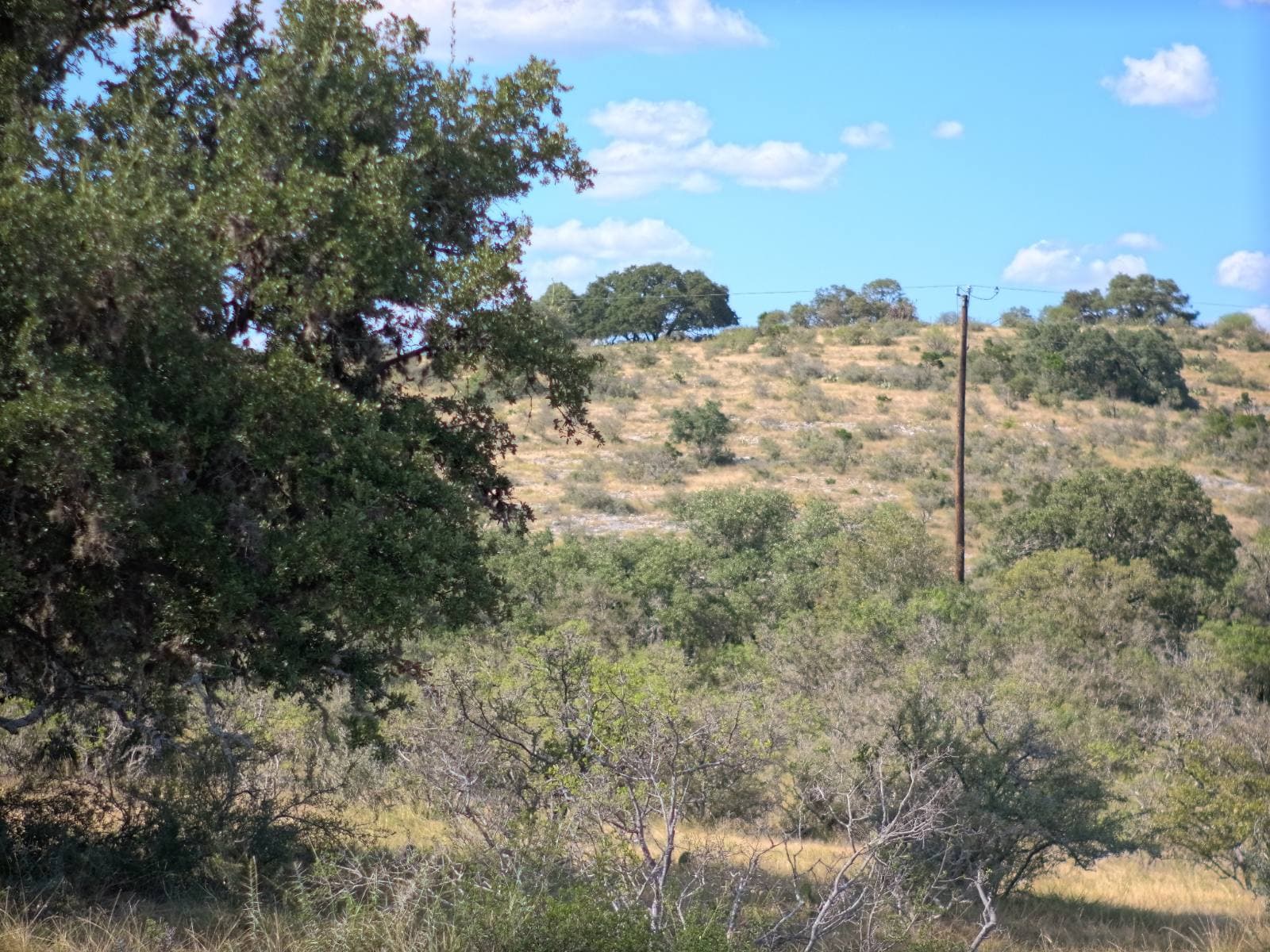 Lot 9