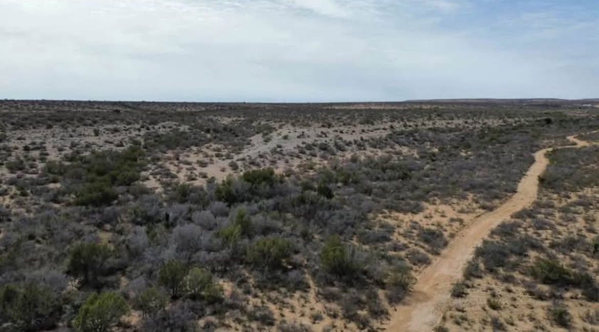 Lot 51