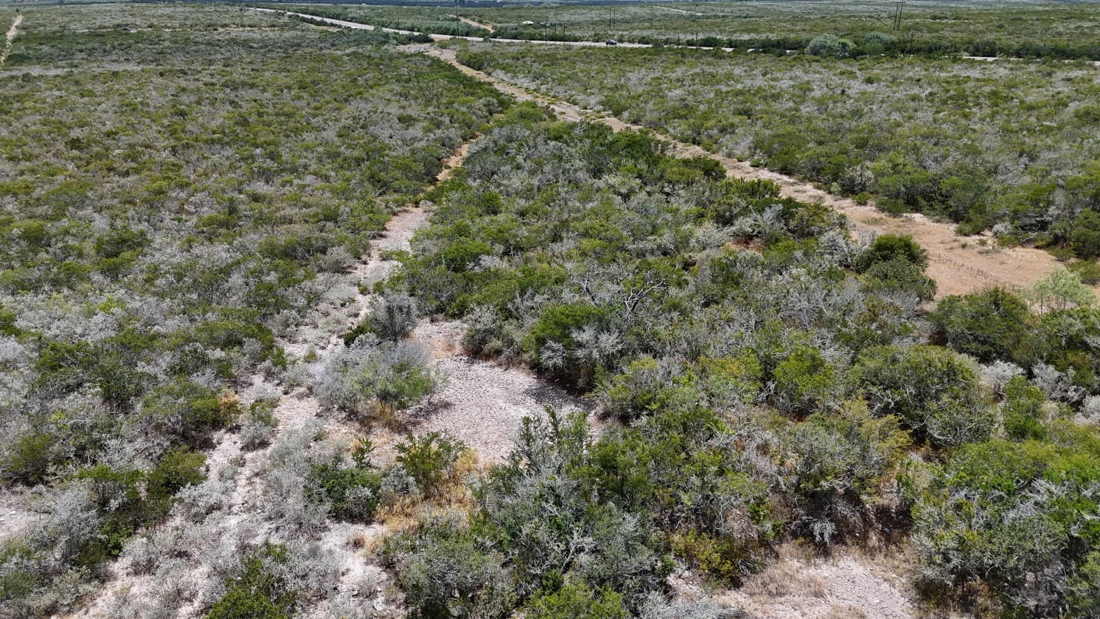 Lot 6