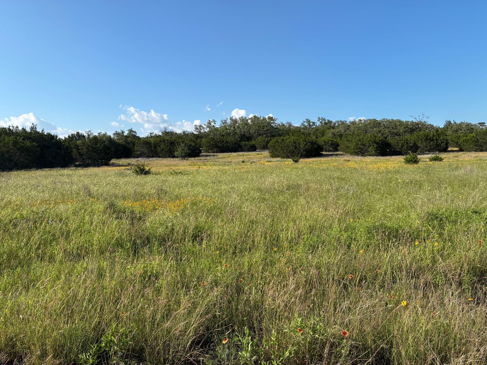 Lot 20