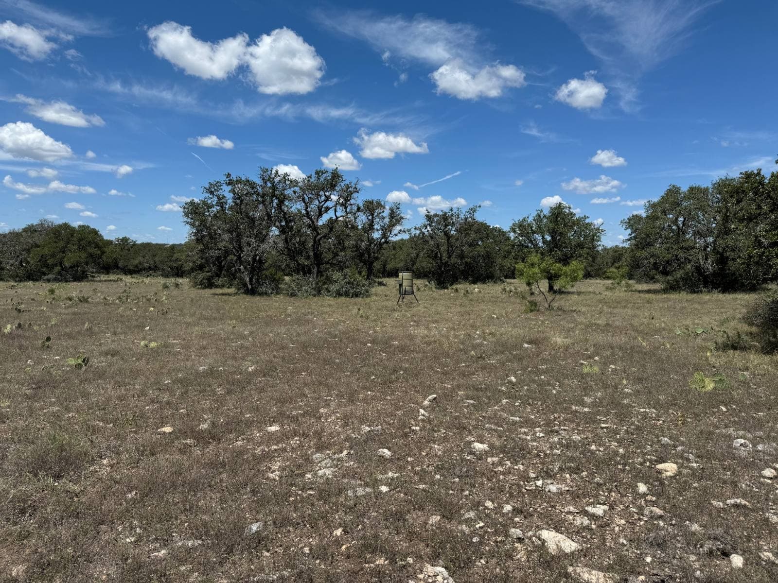 Lot 38, Elm Springs