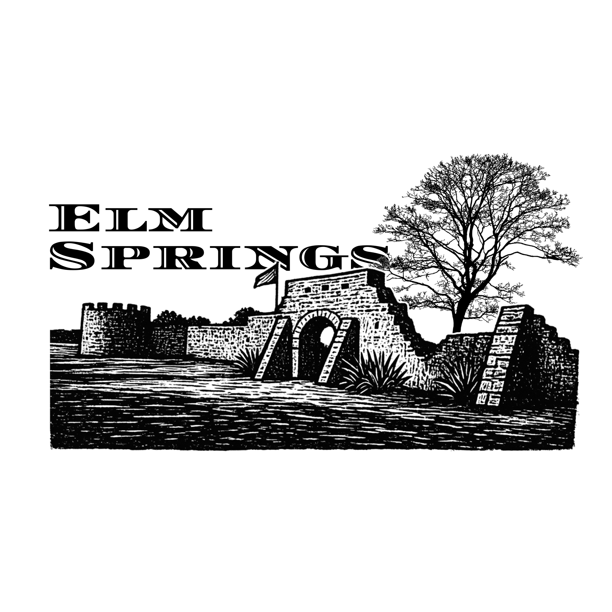Elm Springs