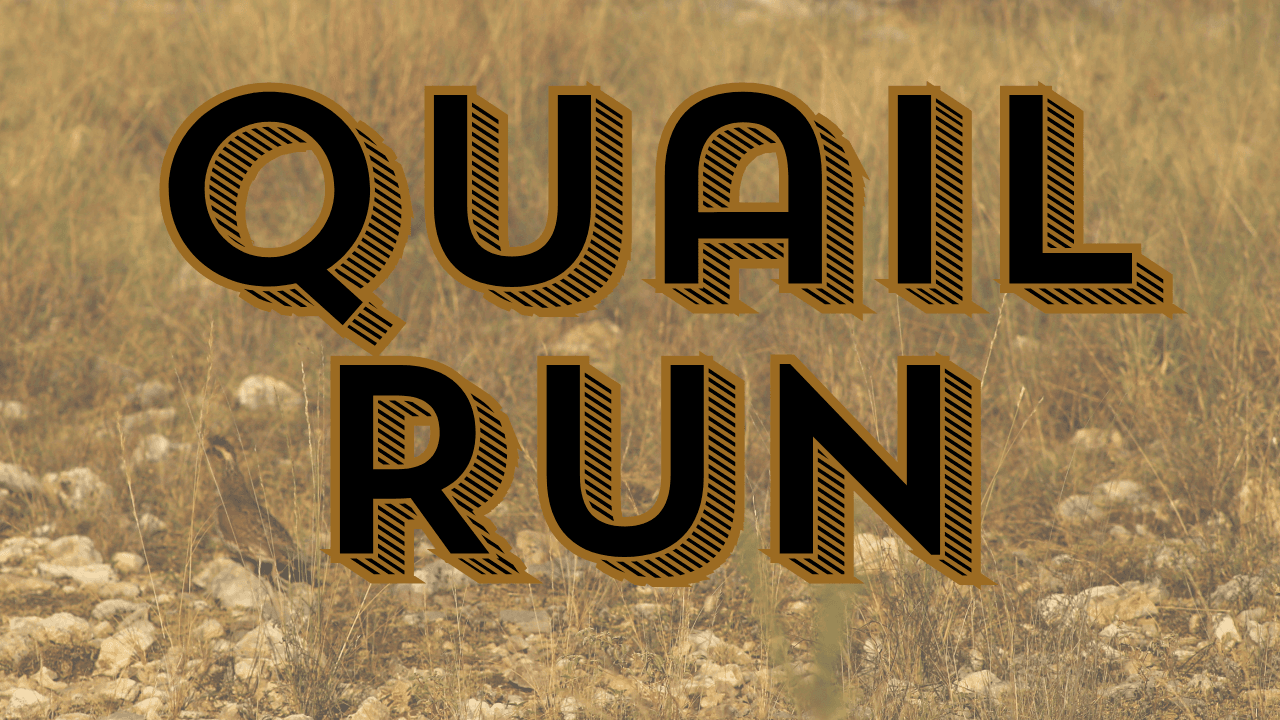 Quail Run Ranch near Cotulla